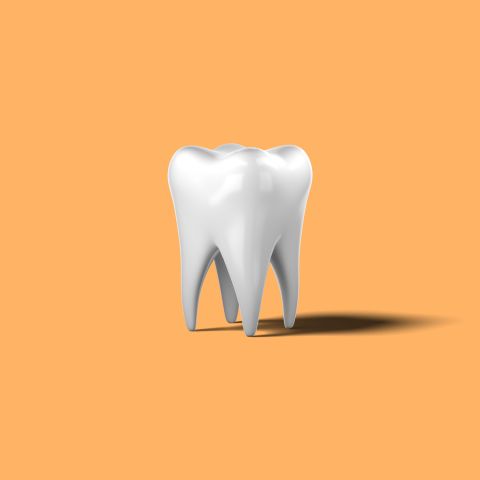 ホームページリニューアルしました！ アイキャッチ画像